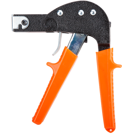 CLESTE MOLLY - 675171