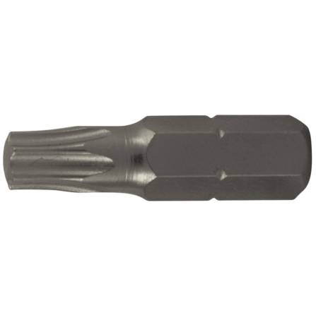 VARF SURUBELNITA S2 TORX / A T30 - [1 BUC]25MM - 674367