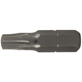 VARF SURUBELNITA S2 TORX / A T30 - [1 BUC]25MM - 674367